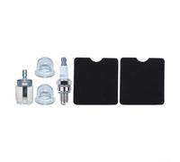 Kit Filtro Aire 6 Pzas para Sopladora 130BT 530BT