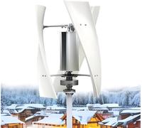 Kit generador de turbina eólica Controlador de Carga Turbinas Verticales Generador de energía Equipo eléctrico, Generador de turbina eólica Kit generador de turbina eólica de 10 000 W - Levi
