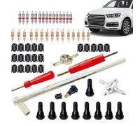 Kit Genérico para Desmontaje e Instalación de Válvula de Neumático,65 Piezas | Desmontador de Núcleo de Válvula para Neumático de Coche,Accesorios Y Suministros para Automóvil Camión ATV Moto Auto