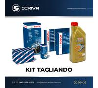 Kit Inspección Filtros Bosch + Aceite Castrol VW Polo 1.6 Tdi De 2009 Al 2018