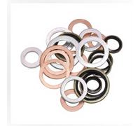 Kit Juntas Cárter 10mm-18mm 100 para uds Calor Kit Juntas Cárter | Aluminio , 5 tamaÃ±os surtidos, 100 unidades, alta temperatura, fugas