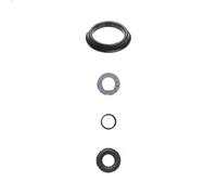 Kit juntas, inyector AJUSA 77034800 para RENAULT TALISMAN (LP_) 1.3 2019-2022