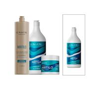 Kit Lowell Mirtilo Profesional - Champú 1 L + Acondicionador 1 L + Máscara 450 g - Control de Oleosidad, Brillo y Suavidad para Cabello Liso o Natural