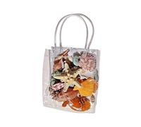 Kit mixto conchas y estrellas marinas pequeñas decoración velas artesanales | Adecuado para principiantes, artesanos expertos, niños, adultos y profesores de arte.
