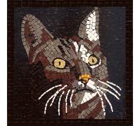 kit mosaico DIY manualidades, 20x20cm Gato