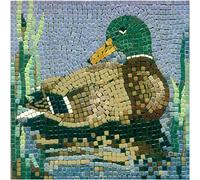 kit mosaico DIY manualidades, 20x20cm Pato 2