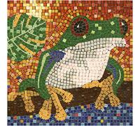 kit mosaico DIY manualidades, 20x20cm Rana