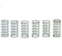 Kit muelles de embrague TRW MEF106-6