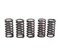 Kit muelles de embrague TRW MEF121-5