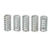 Kit muelles de embrague TRW MEF134-5