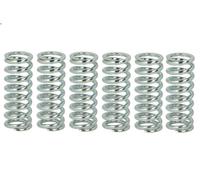 Kit muelles de embrague TRW MEF145-6
