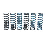 Kit muelles de embrague TRW MEF313-6