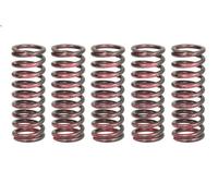 Kit muelles de embrague TRW MEF315-5