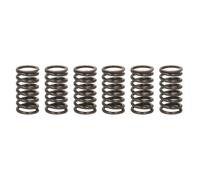 Kit muelles de embrague TRW MEF317-6