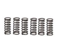 Kit muelles de embrague TRW MEF325-6