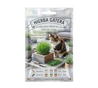 Kit Natural de Semillas de Hierba para Gato para Cultivar en Maceta o Bandeja | Hierba Gatera DECOALIVE