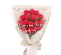 Kit para hacer ramos de tulipanes, una actividad atractiva para que las familias creen adorables manualidades florales juntas (rojo)