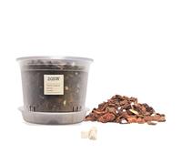 Kit para Trasplantar Orquídeas · Maceta 16 cm · Plato · Sustrato 1L · Abono