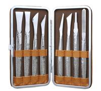 Kit para uñas encarnadas con cortauñas súper afilados, diseño ergonómico para un fácil agarre, juego de cuchillas para pies en acero inoxida
