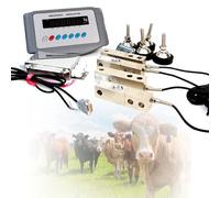 Kit Plataforma Pesaje Ganado, 12000kg Báscula Animal Alta Capacidad con Construcción Impermeable, Báscula Granja Precisión C3 para Bovinos, Cerdos, Ovejas, Cabras, Uso Agrícola(2t)