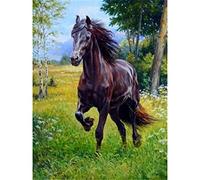 Kit Punto De Cruz Paisaje Con Hilos Y Tela Impresa, Caballo De Animales Patrones Cuadros Para Hacer En Punto De Cruz, Kit Completo Para Principiantes Y Niños