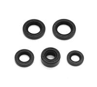 Kit Reconstrucción Juntas Y Retenes Aceite Para CRF70 XR70 ATC70 TRX70 CT70 SL70 XL70 C70 S65 CRF70F ATC TRX 70 SL70K(Oil Seals Kit)