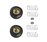 Kit Reconstrucción Kit De Reconstrucción Carburador para ROADSTAR VRX400 VRX400T 1996-1998 VRX 400 T 400T con Válvula Corte Aire Y Flotador Juego de Piezas de Carburador(Conjunto 6)