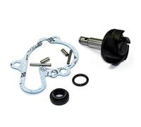 Kit Reparación Bomba de Agua Minarelli AM5/AM6 - Recambio Completo Aftermarket para Ciclomotores 50cc - Compatible con Aprilia, Beta, Rieju, Peugeot, Sherco y más