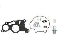 Kit reparación, bomba vacío (frenos) MEAT & DORIA 91171E para A3 (8P1) 2 2004-