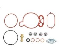 Kit reparación, bomba vacío (frenos) para LT 28-35 I Autobús 2.4 1989-1996
