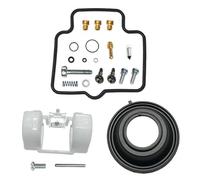 Kit Reparación Carburador con Diafragma Flotador para BYSON para FZS para Ride para FZ16 para SZ16 Kit Reconstrucción Carburador(All)