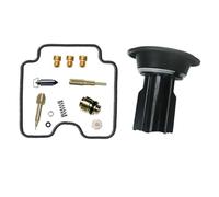 Kit Reparación Carburador para ATV para YFM250 para 1P03 2005 Carburadores Kit(D)