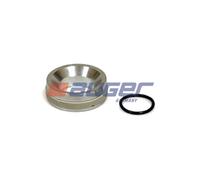 Kit reparación, cilindro basculamiento AUGER 55061