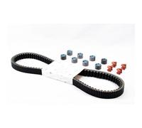 Kit Revisión Correa para PIAGGIO Beverly 350 IE 4T ABS E4 de 2017 a 2019