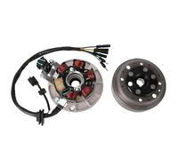 Kit Rotor Estator Magnético Bobina 6 Polos Para Motor Para 140 Cc, Protección Contra El Polvo, Volante Encendido Para Motocicleta Y Bicicleta estator encendido magneto