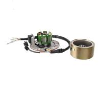 Kit Rotor Magneto Y Estator Bobina Para Motor Horizontal Motocicleta Nueva 150 Cc estator encendido magneto