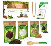Kit Terrario Plantas DIY - Set Ecosistema Cerrado Plantas para Jardin en Botella (1-2L) - Terrarium para Bosque Eterno de Interior - Kit Creación de Terrario Sin Planta (Set sin Frasco, M)