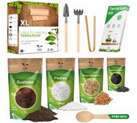 Kit Terrario Plantas DIY - Set Ecosistema Cerrado Plantas para Jardin en Botella (2-4) - Terrarium para Bosque Eterno de Interior - Sin Planta (Set sin Frasco, XL)