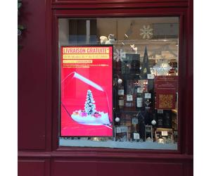 Kit Vitrina Pantalla Samsung y Soporte de Techo - Vertical