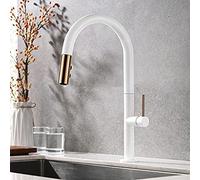 Kitchen Sink Faucet with Pull out Spray Brass Hot Water and Cold Water Dual Mode 360° Rotation Multi-Function Kitchen Sink Faucet-White