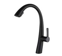 Kitchen Sink Mixer Faucet with Pull out Sprayer, Dual Function Nozzle Brass Rotating Pull out Kitchen Mixer Faucet-Chrome