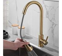 Kitchen Sink Tap with Pull Down Sprayer Gold Kitchen Taps 304 Stainless Steel Hot and Cold 2 Functions 360°Rotating Telescopic Kitchen Sink Faucet