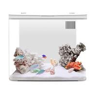 Kits de Arranque del Acuario de 1,3 galones Kit de Inicio de Acuario pequeño con Filtro de 3 Capas & LED LIG LED, Fish DE Pescado con Sistema DE AUTOMACIÓN Decoración del hogar