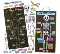 Kits de Esqueleto Humano Baker Ross FN434 - Paquete de 4, Stem, Ciencia, Salud y Material didáctico para niños y colegios