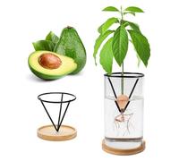 Kits de germinación de plantas, kits de cultivo de árboles de aguacate, jarrón de cultivo de aguacate, base de madera, jarrón de iniciación de semillas de aguacate, maceta de vidrio, fácil inicio de