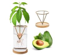 Kits de germinación de plantas, kits de cultivo de árboles de aguacate, jarrón de cultivo de aguacate, base de madera, jarrón de iniciación de semillas de aguacate, maceta de vidrio, fácil inicio de