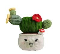 Kits de inicio de ganchillo de animales de bricolaje Juego de hilos de crochet de plantas Kits para principiantes Aprende a configurar por video en inglés Principiantes Hilo de plantas de bricolaje