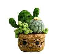 Kits de inicio de ganchillo de animales de bricolaje Juego de hilos de crochet de plantas Kits para principiantes Aprende a configurar por video en inglés Principiantes Hilo de plantas de bricolaje