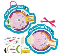 Kits de ojo humano Baker Ross FN447 - Paquete de 4, STEM, ciencia, salud y material didáctico para niños y colegios