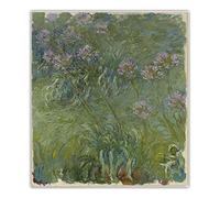 Kits de pintura 5D para adultos y niños Agapanthus 1914-17 por Claude Monet DIY pintura de taladro completo, 12 x 16 pulgadas